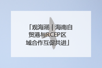 观海潮｜海南自贸港与RCEP区域合作互促共进