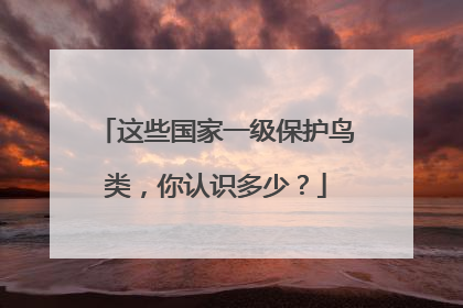 这些国家一级保护鸟类，你认识多少？