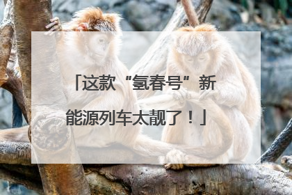 这款“氢春号”新能源列车太靓了！