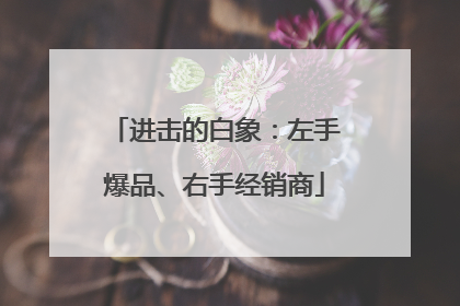 进击的白象：左手爆品、右手经销商