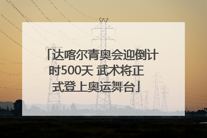 达喀尔青奥会迎倒计时500天 武术将正式登上奥运舞台
