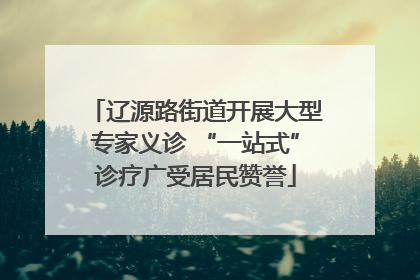 辽源路街道开展大型专家义诊 “一站式”诊疗广受居民赞誉