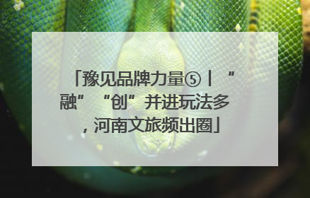豫见品牌力量⑤丨“融”“创”并进玩法多，河南文旅频出圈