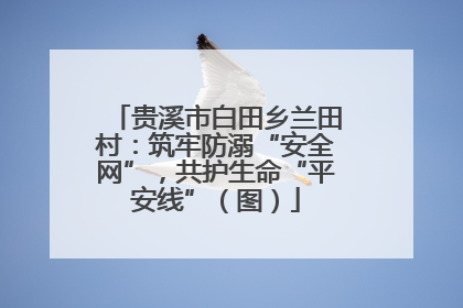 贵溪市白田乡兰田村：筑牢防溺“安全网”，共护生命“平安线”（图）