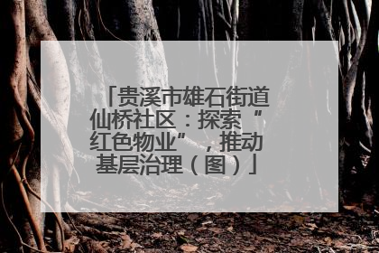 贵溪市雄石街道仙桥社区：探索“红色物业”，推动基层治理（图）