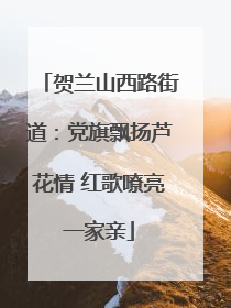 贺兰山西路街道：党旗飘扬芦花情 红歌嘹亮一家亲