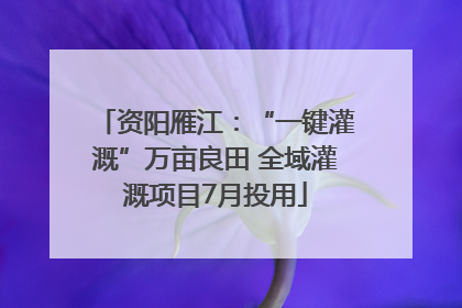 资阳雁江：“一键灌溉”万亩良田 全域灌溉项目7月投用