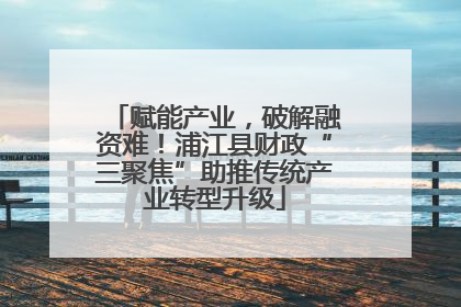赋能产业，破解融资难！浦江县财政“三聚焦”助推传统产业转型升级