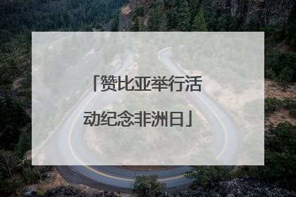赞比亚举行活动纪念非洲日