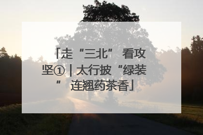 走“三北” 看攻坚①｜太行披“绿装” 连翘药茶香