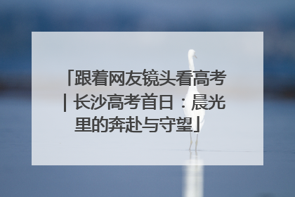 跟着网友镜头看高考｜长沙高考首日：晨光里的奔赴与守望