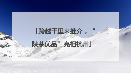跨越千里来推介，“陕茶优品”亮相杭州
