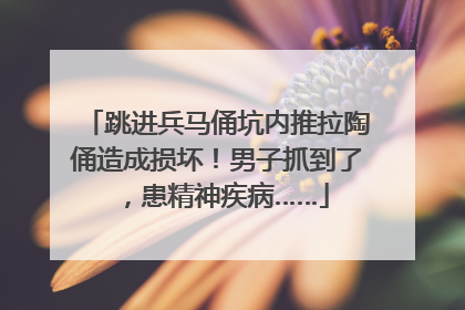跳进兵马俑坑内推拉陶俑造成损坏！男子抓到了，患精神疾病……