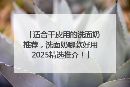 适合干皮用的洗面奶推荐，洗面奶哪款好用2025精选推介！