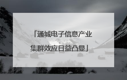 通城电子信息产业集群效应日益凸显