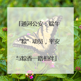 通河公安：端午“粽”动员，平安与粽香一路相伴