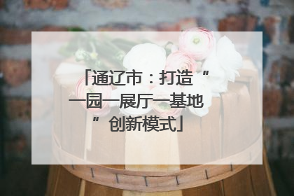 通辽市：打造“一园一展厅一基地”创新模式