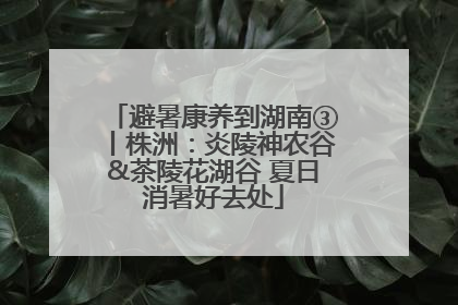避暑康养到湖南③丨株洲：炎陵神农谷&茶陵花湖谷 夏日消暑好去处