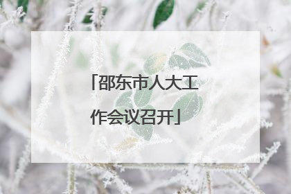 邵东市人大工作会议召开