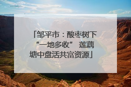 邹平市：酸枣树下“一地多收” 莲藕塘中盘活共富资源