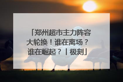 郑州超市主力阵容大轮换！谁在离场？谁在崛起？丨极刻