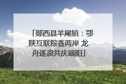 郧西县羊尾镇：鄂陕互联粽香两岸 龙舟逐浪共庆端阳