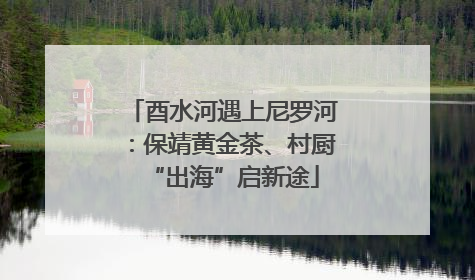酉水河遇上尼罗河：保靖黄金茶、村厨“出海”启新途