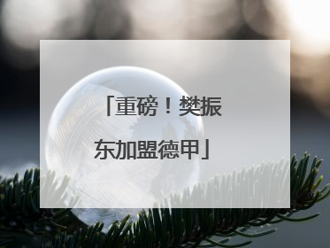 重磅!樊振东加盟德甲