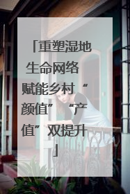 重塑湿地生命网络 赋能乡村“颜值”“产值”双提升