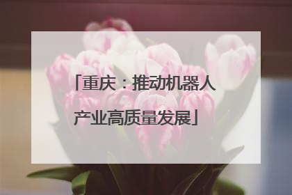 重庆：推动机器人产业高质量发展