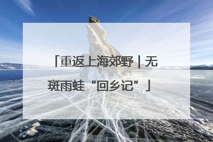 重返上海郊野｜无斑雨蛙“回乡记”
