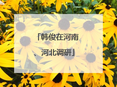 韩俊在河南、河北调研