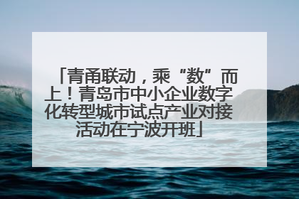 青甬联动，乘“数”而上！青岛市中小企业数字化转型城市试点产业对接活动在宁波开班