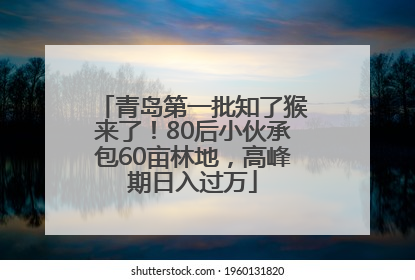 青岛第一批知了猴来了！80后小伙承包60亩林地，高峰期日入过万
