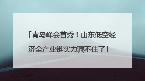 青岛峰会首秀！山东低空经济全产业链实力藏不住了