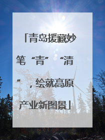 青岛援藏妙笔“青”“清”，绘就高原产业新图景