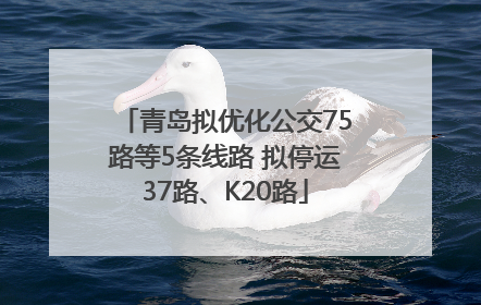 青岛拟优化公交75路等5条线路 拟停运37路、K20路