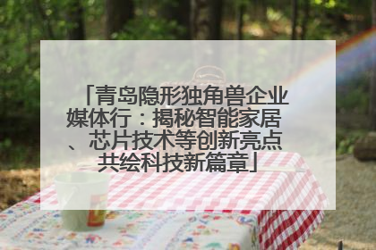 青岛隐形独角兽企业媒体行：揭秘智能家居、芯片技术等创新亮点 共绘科技新篇章