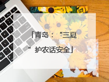 青岛：“三夏”护农话安全