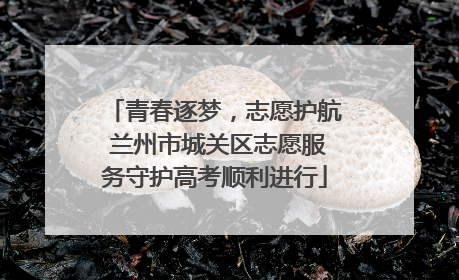 青春逐梦，志愿护航 兰州市城关区志愿服务守护高考顺利进行