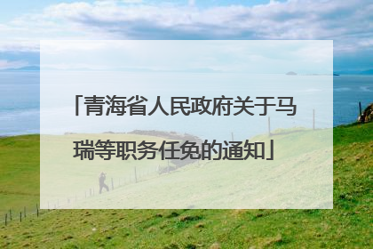 青海省人民政府关于马瑞等职务任免的通知