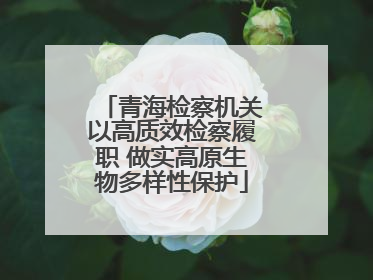 青海检察机关以高质效检察履职 做实高原生物多样性保护