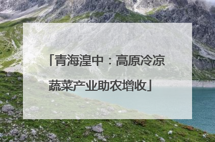青海湟中：高原冷凉蔬菜产业助农增收