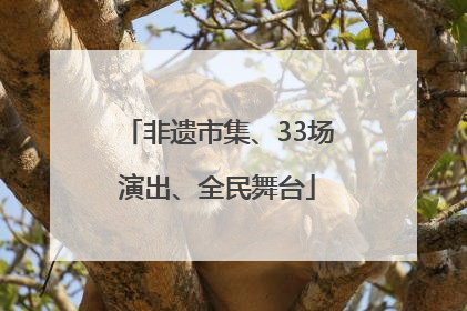 非遗市集、33场演出、全民舞台