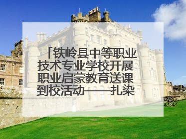 铁岭县中等职业技术专业学校开展职业启蒙教育送课到校活动——扎染艺术与电商营销走进熊官屯镇中心小学