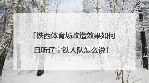 铁西体育场改造效果如何 且听辽宁铁人队怎么说