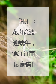 铜仁：龙舟竞渡迎端午，锦江江面展豪情