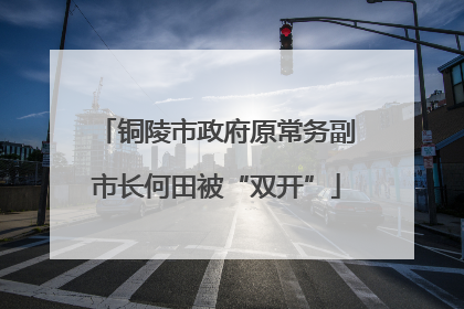 铜陵市政府原常务副市长何田被“双开”