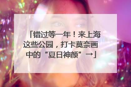 错过等一年！来上海这些公园，打卡莫奈画中的“夏日神颜”→