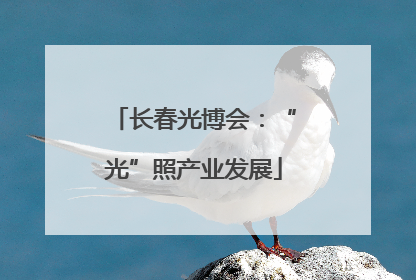 长春光博会：“光”照产业发展